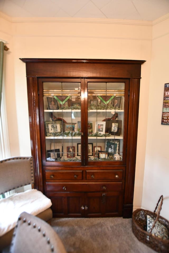 interior details featuring carpet floors and crown molding