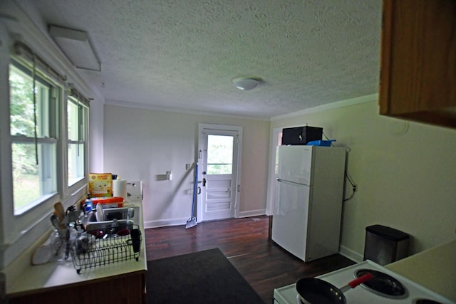 kitchen with freestanding refrigerator, ornamental molding, dark wood-style floors, and a healthy amount of sunlight