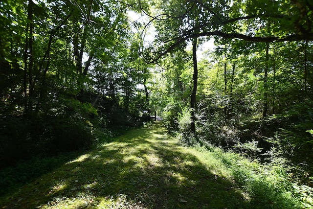 view of landscape with a wooded view