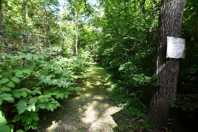 view of landscape featuring a wooded view