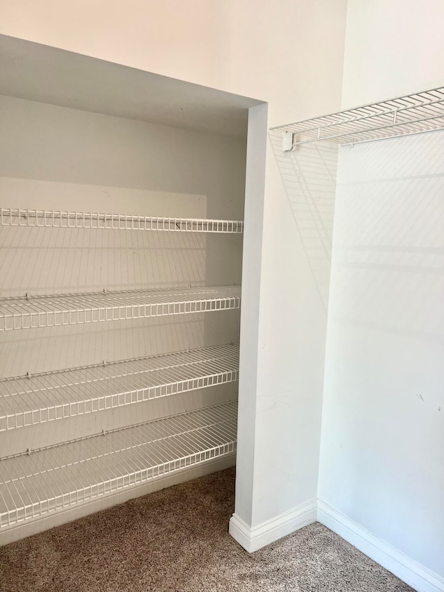 walk in closet featuring carpet floors