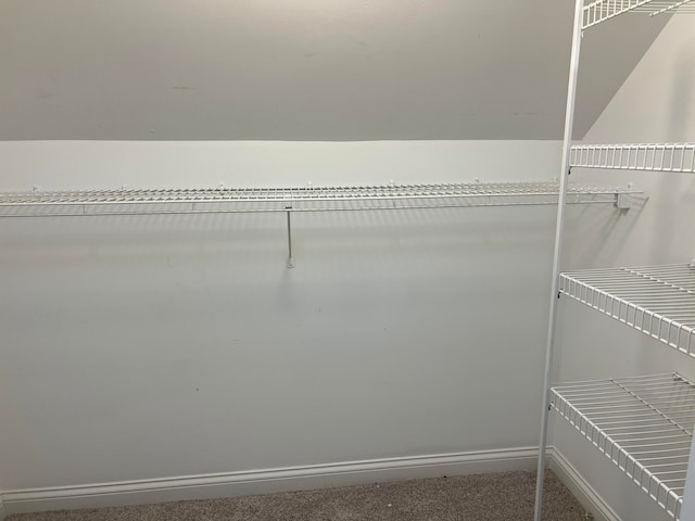 spacious closet featuring carpet