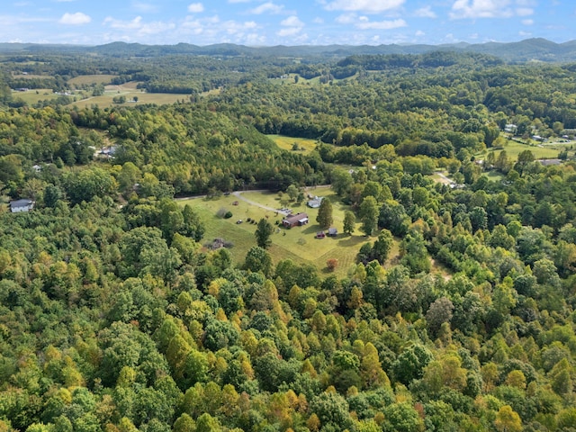 birds eye view of property featuring a mountain view