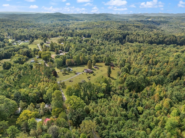 birds eye view of property with a mountain view