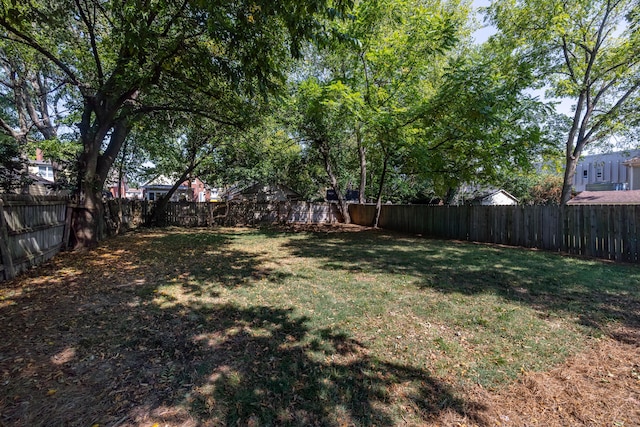 view of yard with a fenced backyard