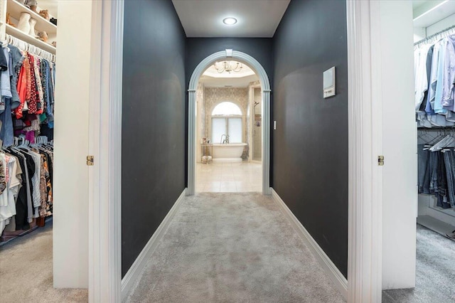 hallway featuring light colored carpet and a healthy amount of sunlight