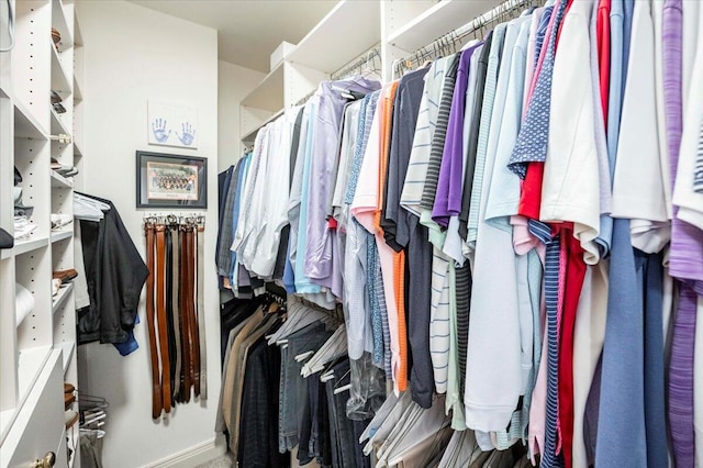 view of spacious closet