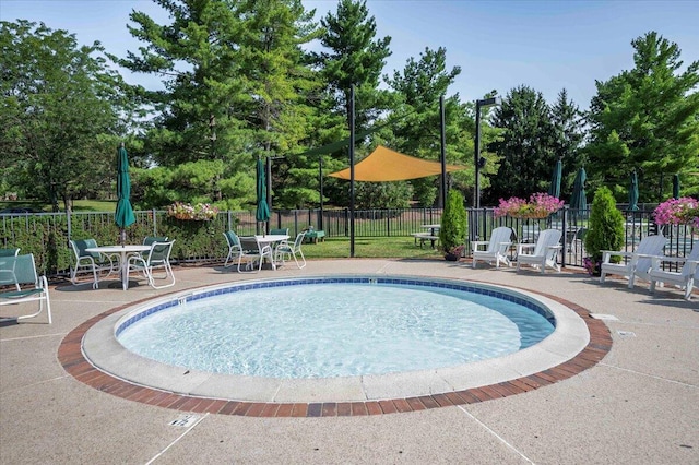 view of swimming pool with a patio area