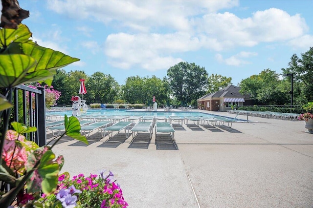 view of pool featuring a patio area