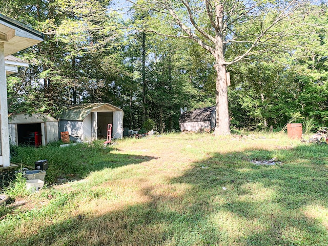 view of yard featuring a storage shed