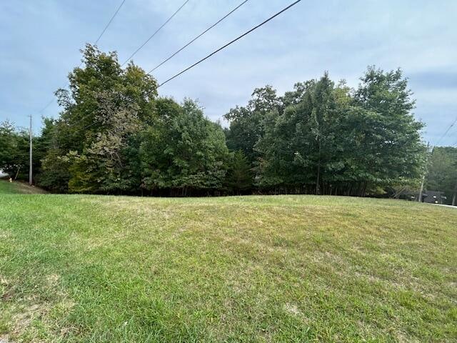 Listing photo 2 for 101 Sheldrake Ct, Georgetown KY 40324