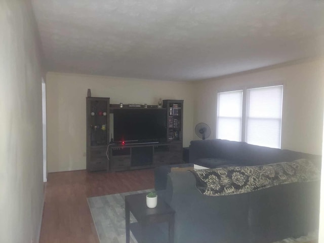 living room with dark wood-type flooring