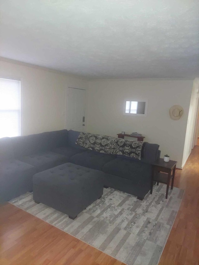 living room featuring a healthy amount of sunlight and light hardwood / wood-style floors