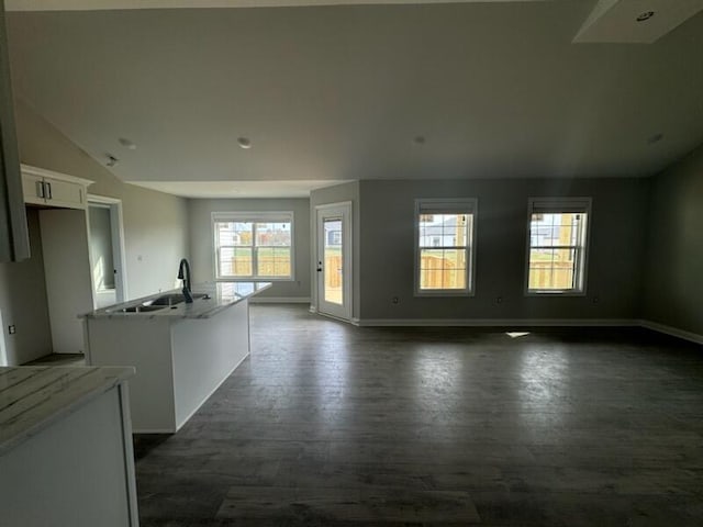 interior space with dark hardwood / wood-style floors, sink, and vaulted ceiling