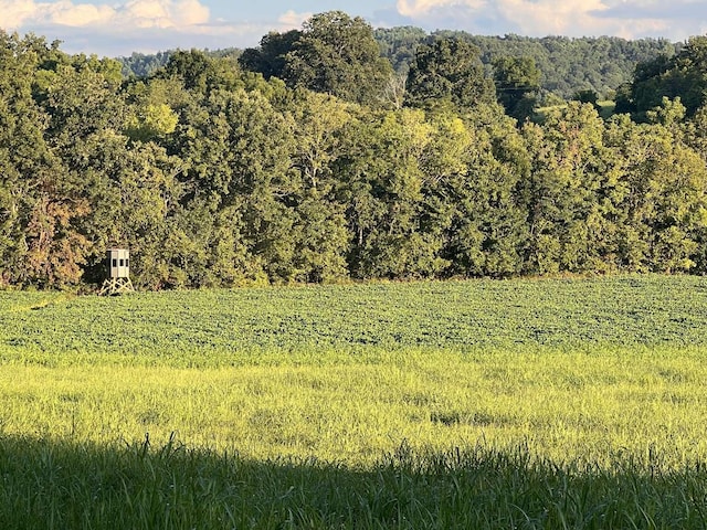 view of landscape with a wooded view