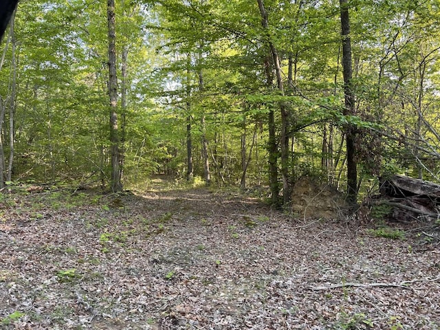 view of nature with a forest view