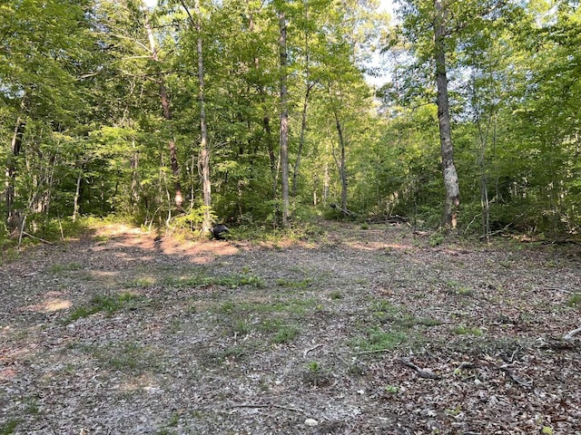 view of landscape featuring a view of trees