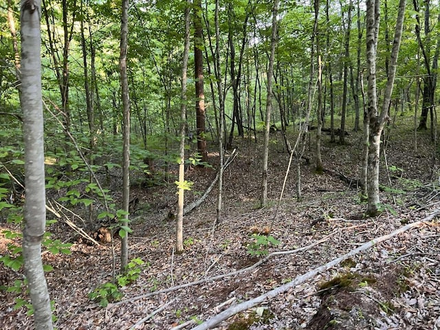 view of local wilderness featuring a forest view