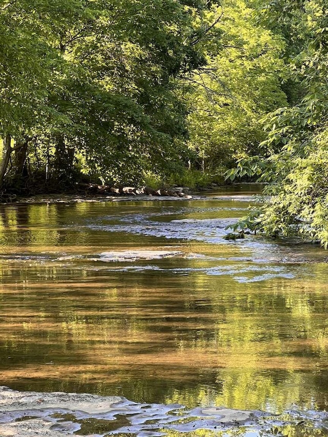 property view of water featuring a forest view