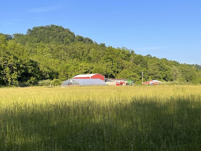 view of yard featuring a forest view, an outbuilding, and an outdoor structure