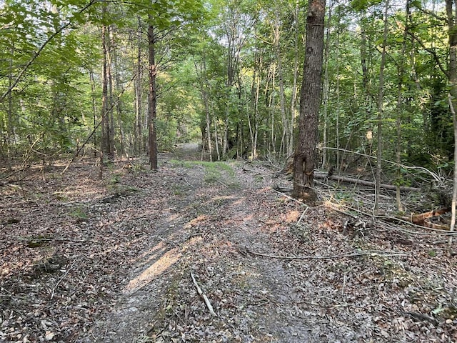 view of nature featuring a view of trees