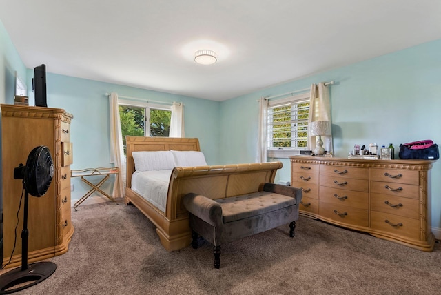 carpeted bedroom with multiple windows