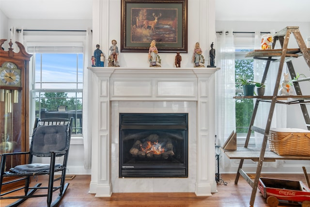 details featuring hardwood / wood-style flooring