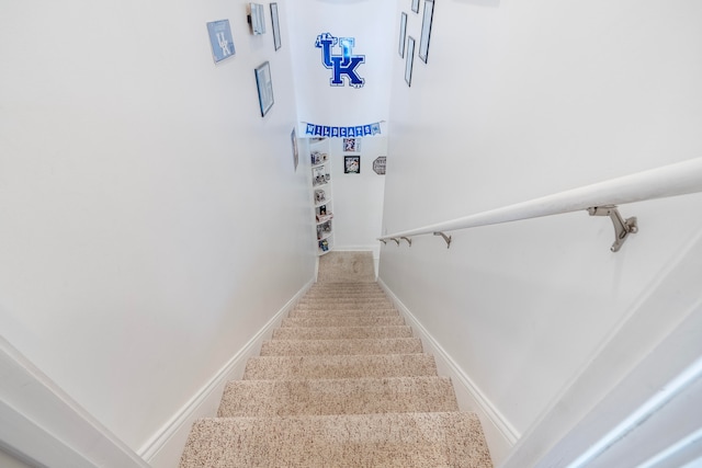 stairs with carpet flooring