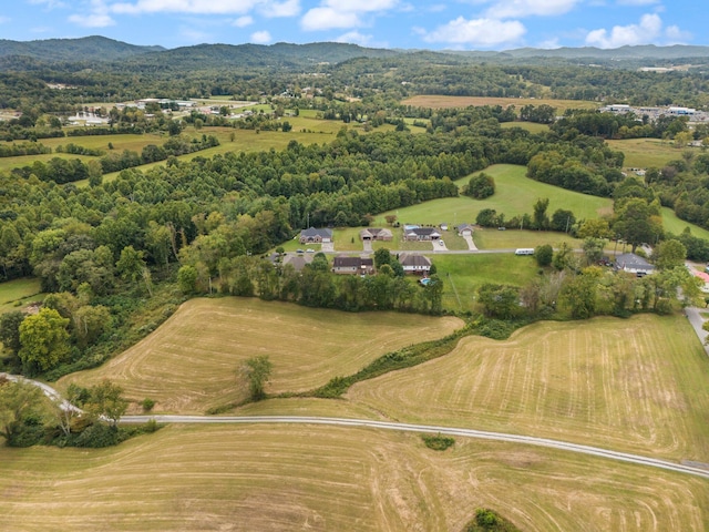 aerial view with a mountain view and a rural view