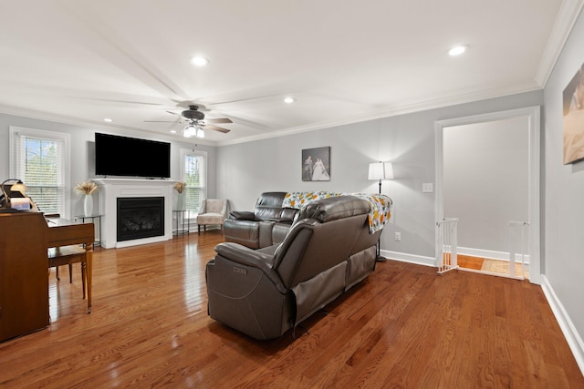 living room with crown molding, ceiling fan, and hardwood / wood-style flooring