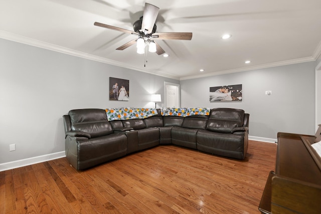 living room with ceiling fan, crown molding, and wood-type flooring