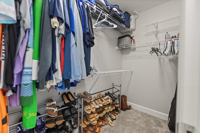 spacious closet featuring carpet flooring