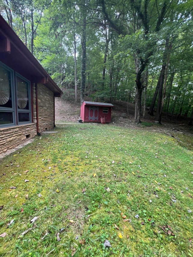 view of yard featuring a storage shed