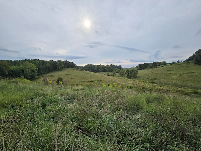 Listing photo 2 for 9999 River Hill Rd, East Bernstadt KY 40729