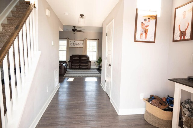 hall featuring dark hardwood / wood-style flooring