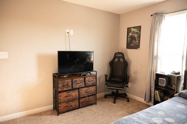 bedroom with light carpet