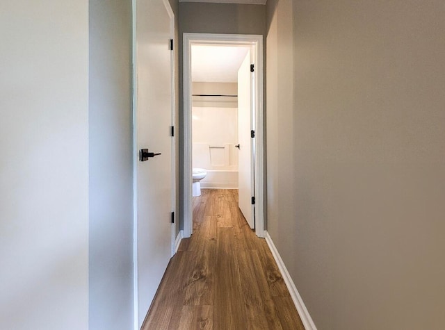 hall featuring dark wood-type flooring