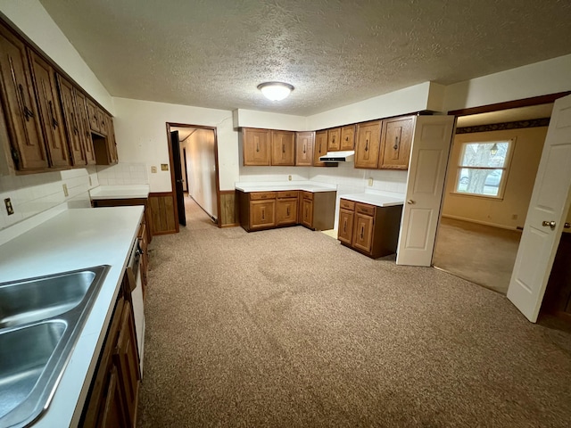 kitchen with a wainscoted wall, carpet floors, a sink, light countertops, and under cabinet range hood