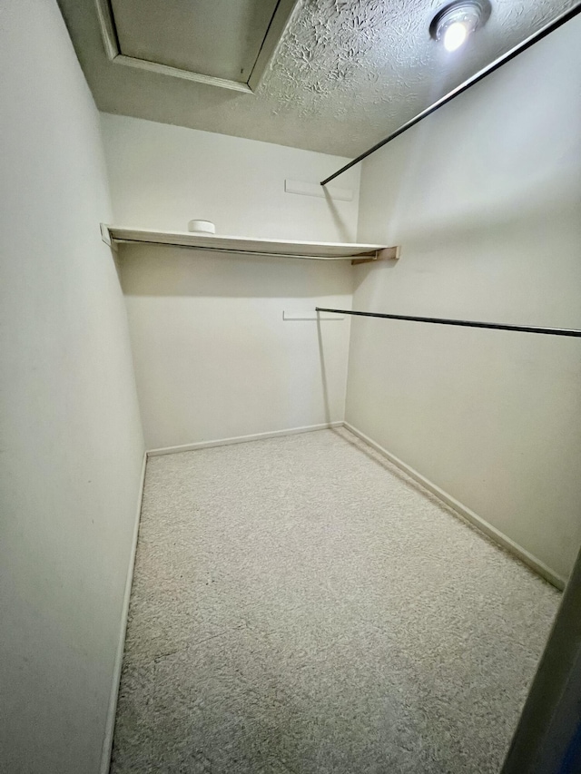 spacious closet with carpet floors