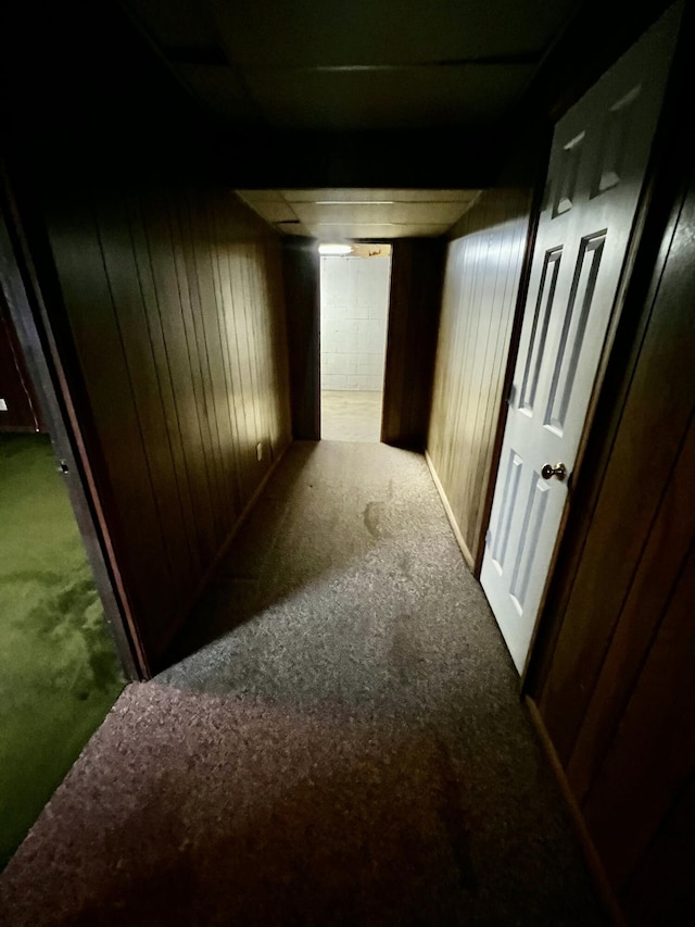 corridor featuring wooden walls and carpet