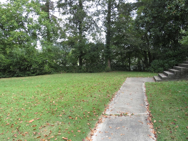 view of yard