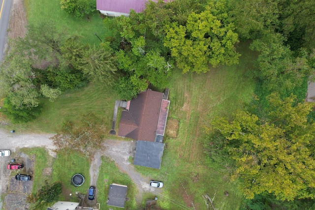 drone / aerial view