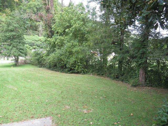 view of yard with a wooded view