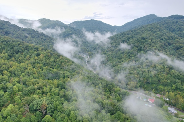 mountain view featuring a view of trees