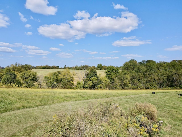 view of landscape featuring a rural view