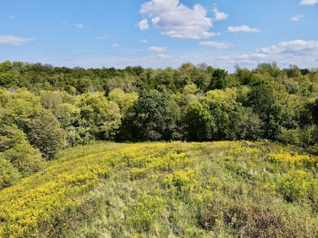 view of landscape