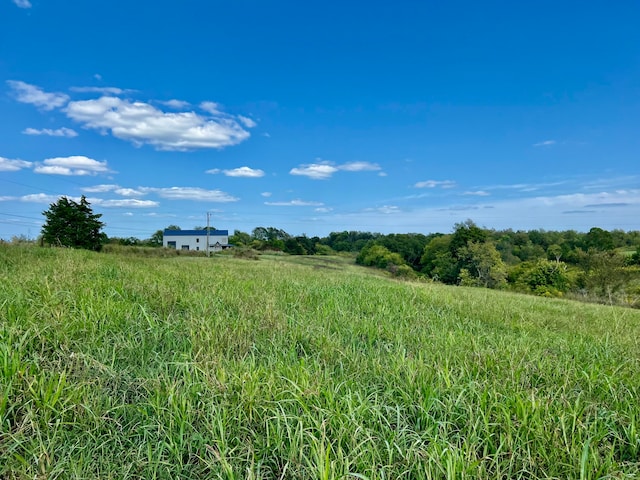 view of local wilderness with a rural view