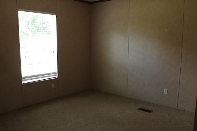 carpeted empty room featuring a healthy amount of sunlight