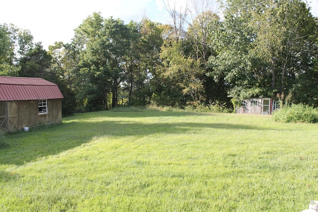 view of yard featuring a shed