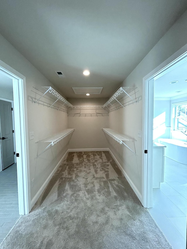 walk in closet with visible vents and carpet flooring